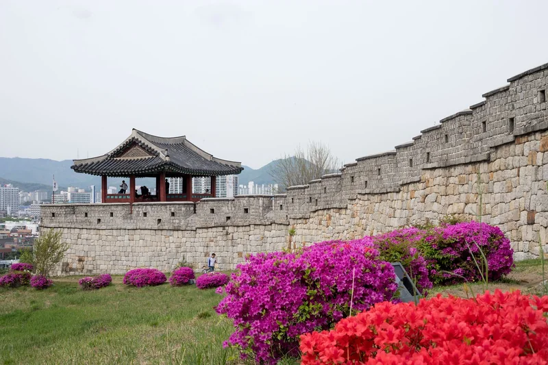 수원개인회생 절차