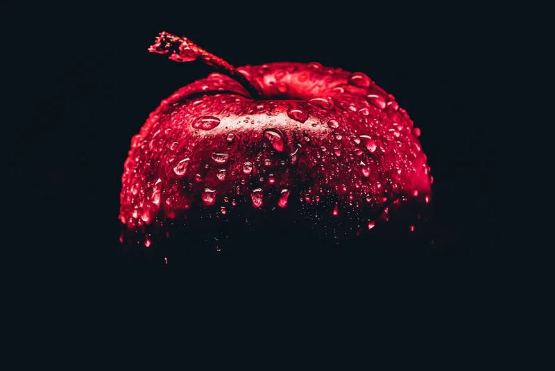 수원신용회복기간