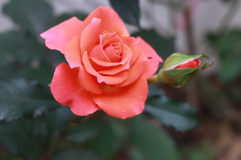 영등포구신용회복위원회사이버
