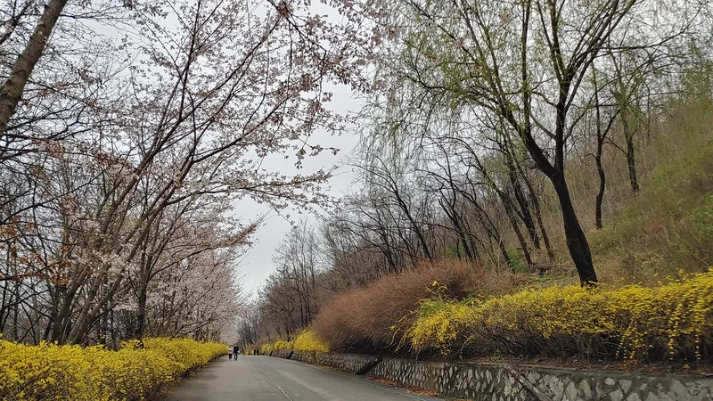 영등포구파산신청