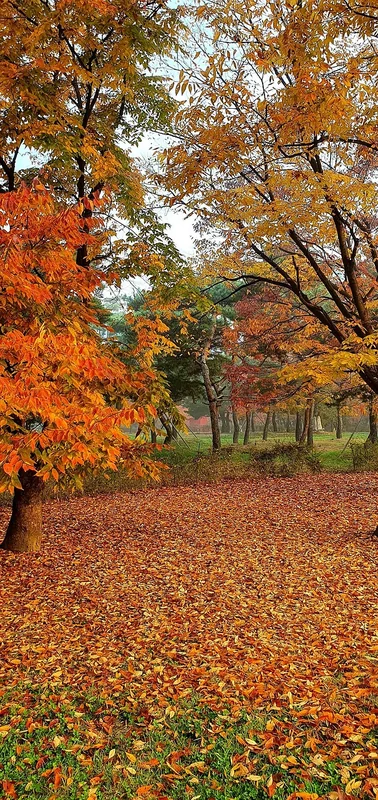 일산개인파산직장
