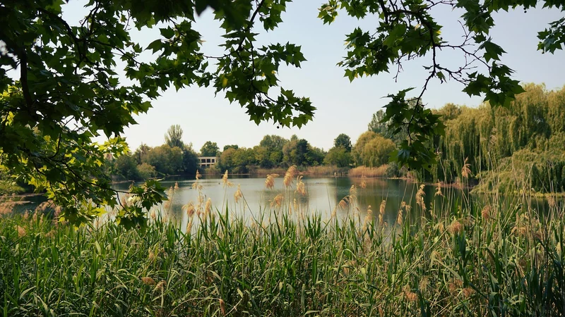 양천구개인회생 수임료