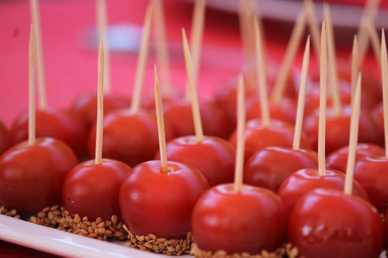 양천구개인회생 수임료 비용